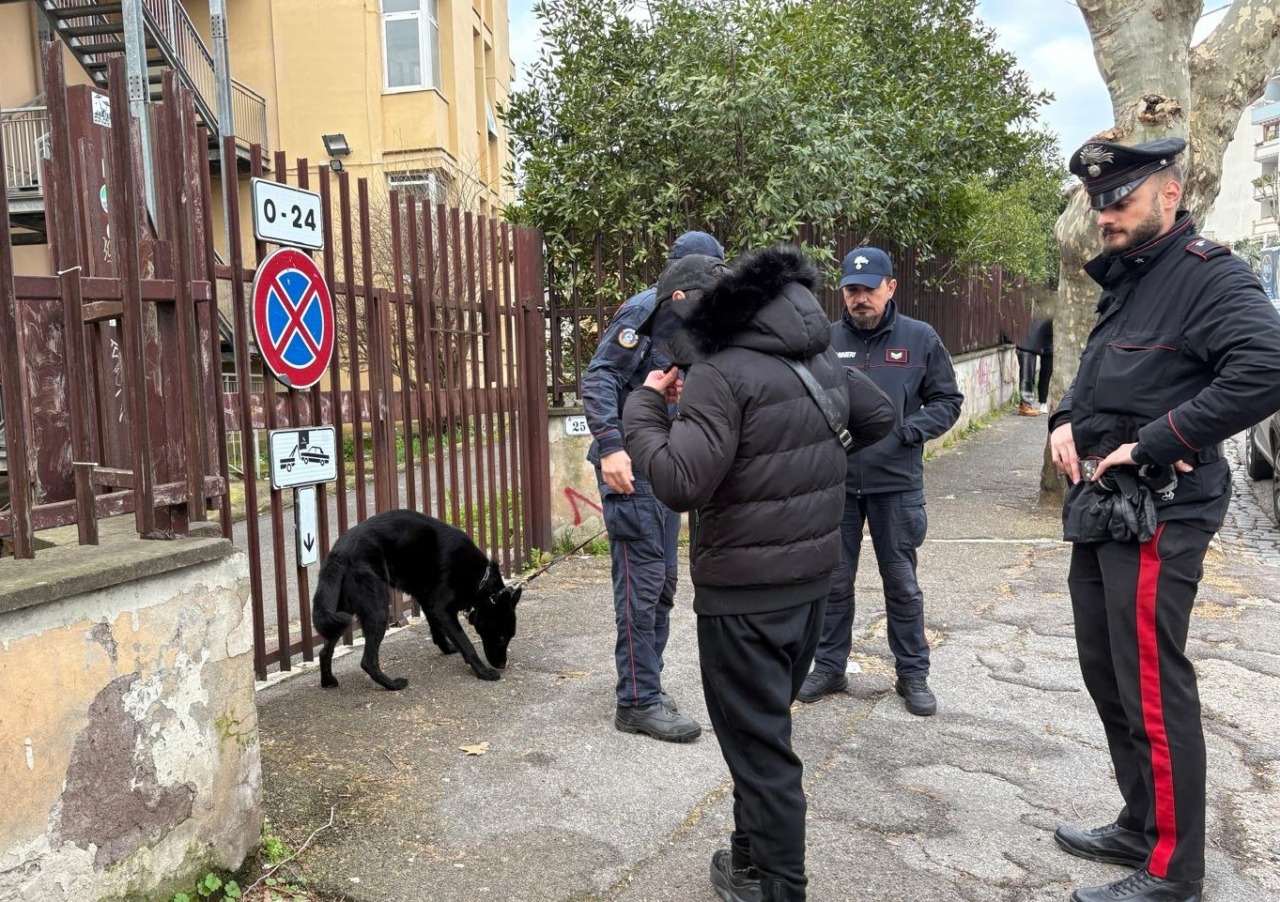 Controlli straordinari, due denunce e sanzioni per oltre 15.000 euro