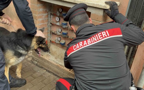 Controlli antidroga, arrestate 19 persone