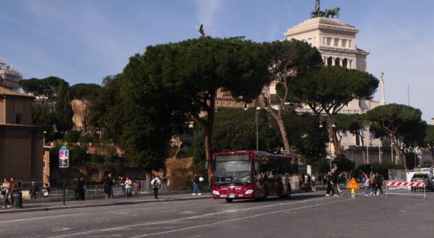 Riaperta via dei Fori Imperiali, era chiusa dal primo febbraio per il crollo dei pini