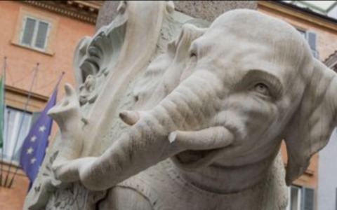 Danneggiata la scultura dell’Elefantino in piazza della Minerva
