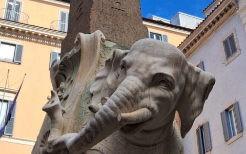 Danneggiata la zanna dell’elefantino della Minerva, la Sovrintendenza interviene