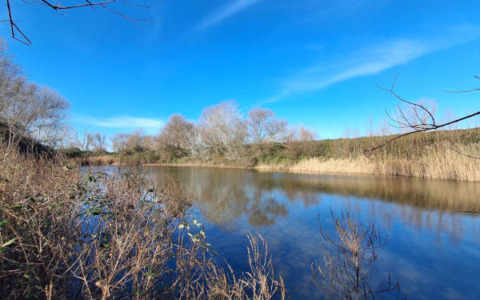 Prosegue il monitoraggio WWF sulle aree umide