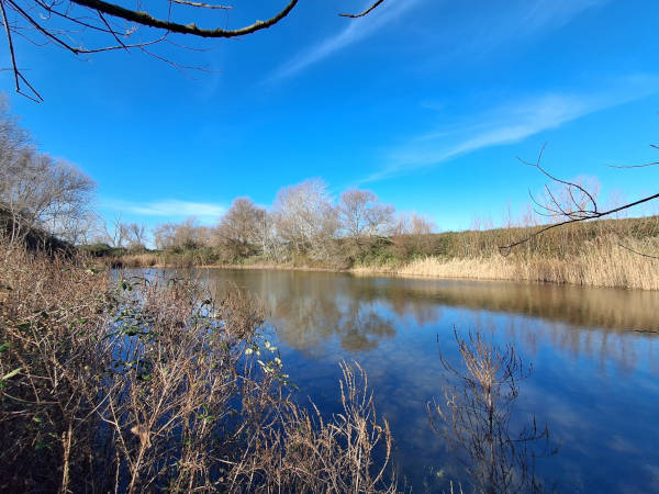 Prosegue il monitoraggio WWF sulle aree umide