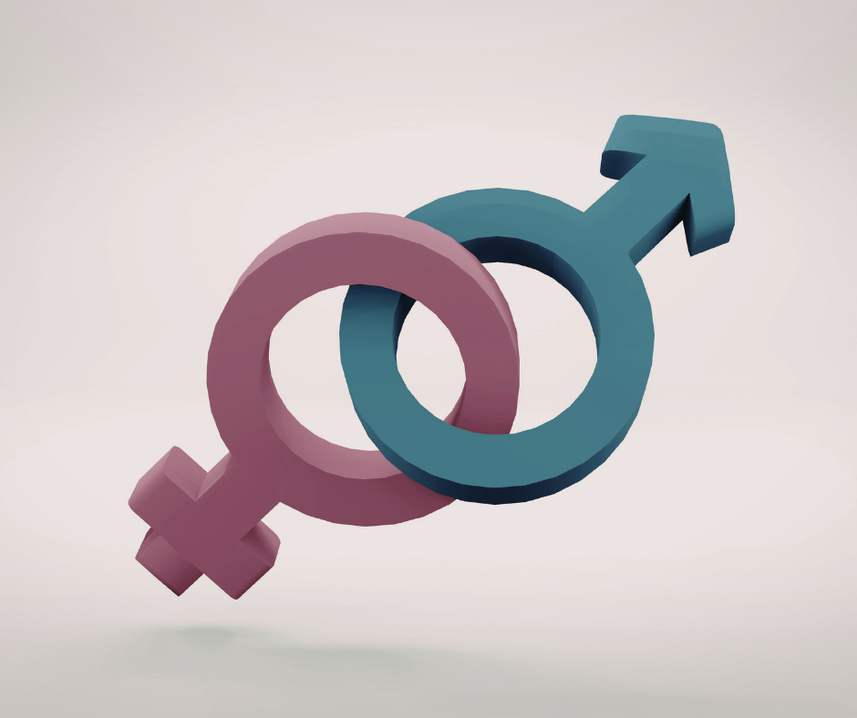 Camera al lavoro su bollette e riforme nei prossimi mesi