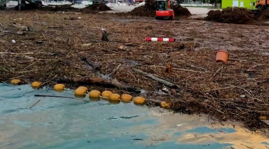 Maltempo, dopo la piena cumuli di tronchi e detriti alle foci Tevere