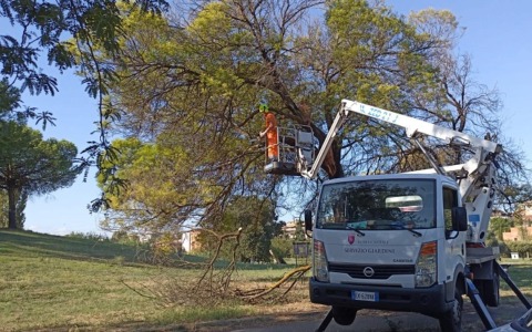 Tram 3 sostituito da navette lunedì 16 e martedì 17