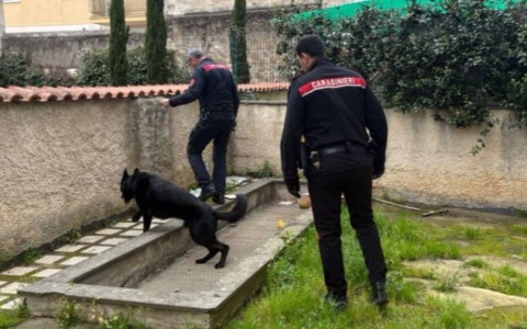 Minore trovata in possesso di un coltello e di marijuana a scuola. I controlli dei Carabinieri