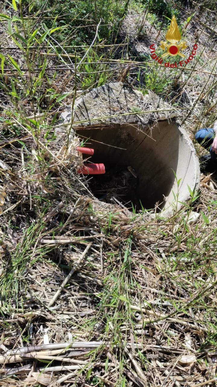 Donna cade in un pozzo al parco della Pace, salvata dai Vigili del fuoco/FOTO