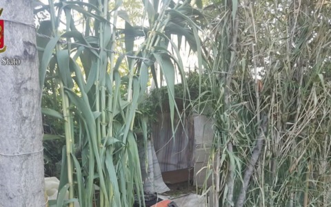 L’omicidio di San Basilio, fermato un romeno