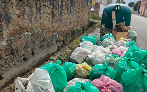 Villa Adriana, oltre 215 kg di rifiuti rimossi dai canali