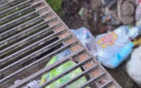 Cittadini a lavoro per salvare i canali storici dal degrado