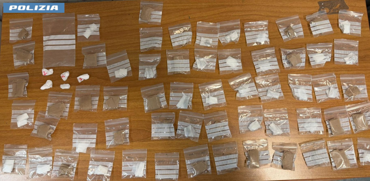 Droga pronta allo smercio e furti su commissione