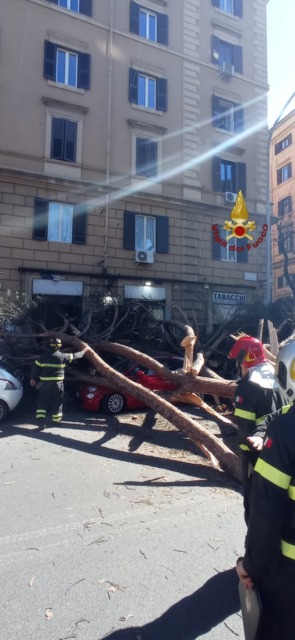 Cade un albero in via Tiburtina, due persone ferite