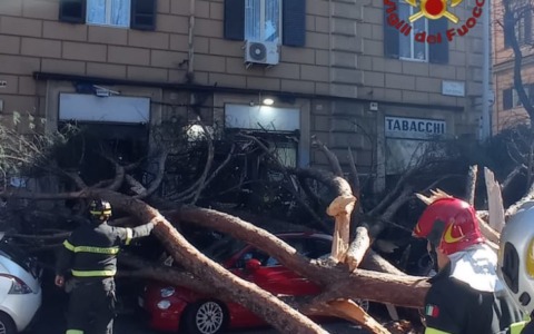 Cade un albero in via Tiburtina, due persone ferite