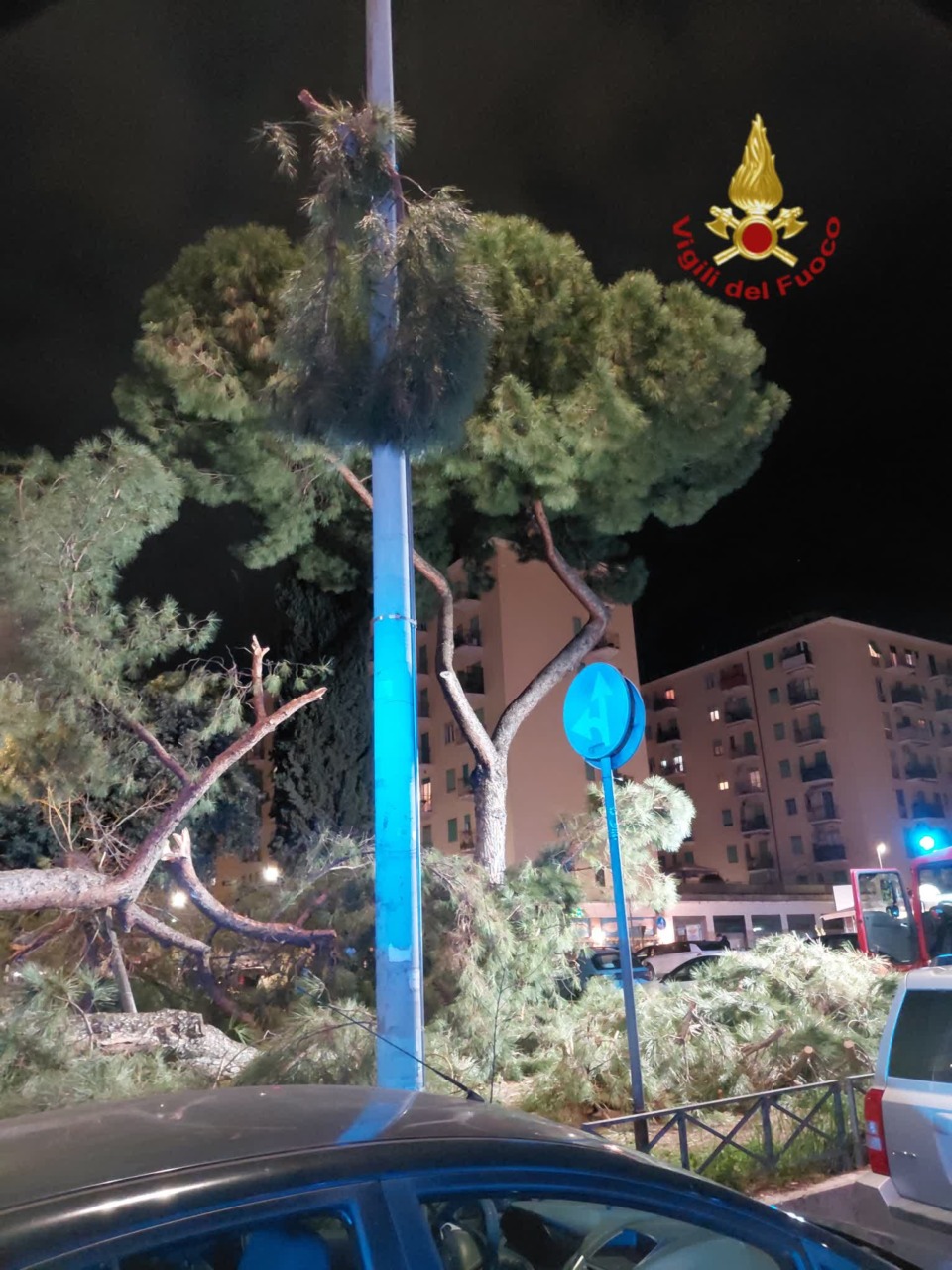Pino cade al Tuscolano, nessun ferito