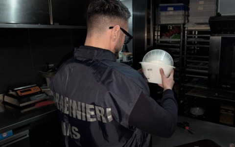 Furto di energia elettrica per 360 mila euro, lavoro nero e carenze igieniche, chiusa una pasticceria