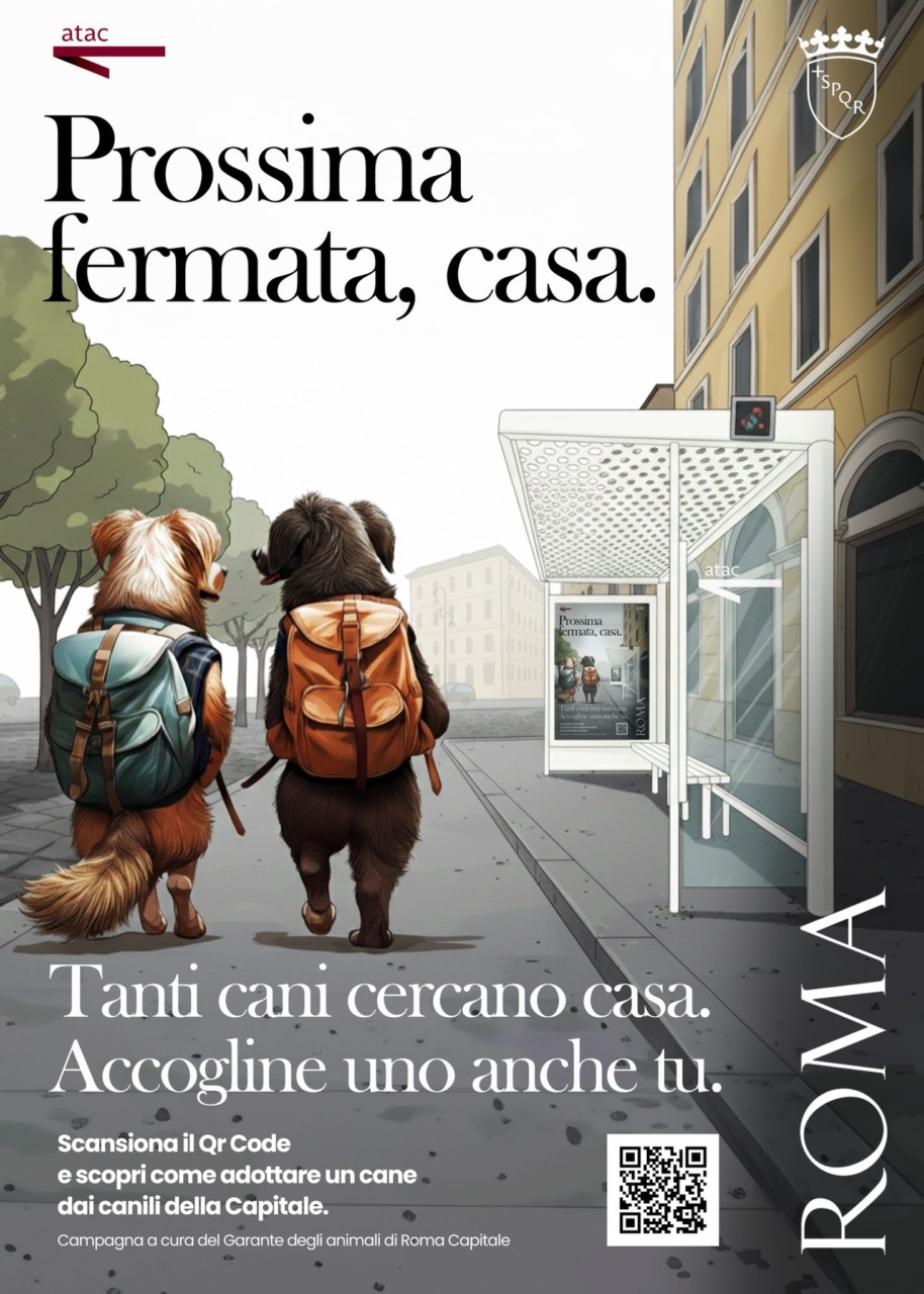 “Prossima fermata, casa”, la campagna per l’adozione di cani e gatti