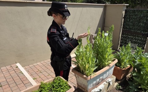 Controlli straordinari dei Carabinieri, nove denunce e sequestri tra droga e armi
