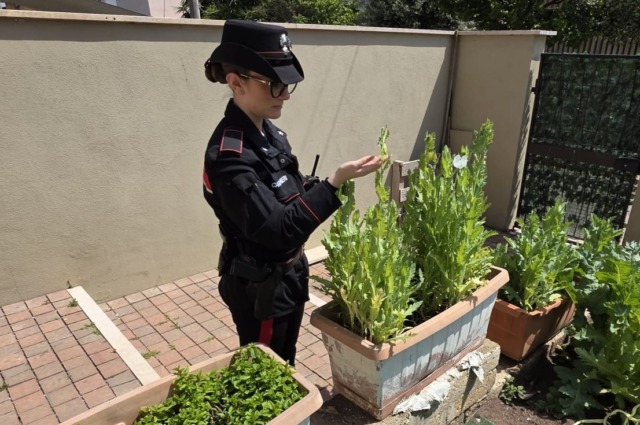 Controlli straordinari dei Carabinieri, nove denunce e sequestri tra droga e armi