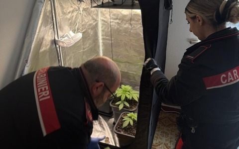 Trasforma casa in un supermarket di droga, arrestato un 27enne