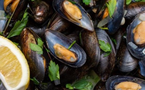 Crollo delle vendite di frutti di mare, l’Unci: “C’è allarmismo, la Regione sostenga gli operatori”