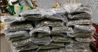 Sequestrati oltre 100 chili di droga al porto, arrestato autotrasportatore