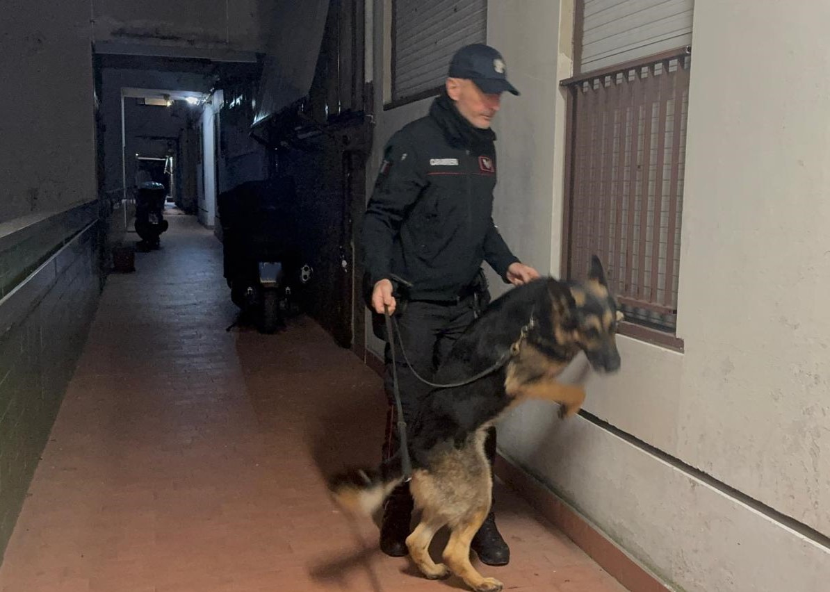 Sequestrato oltre un chilo di droga e 10 mila euro