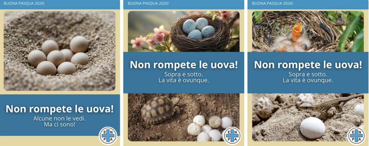 “Non rompete le uova”, l’appello per la primavera