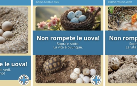 “Non rompete le uova”, l’appello per la primavera