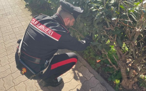 Spaccio di droga, 18 arresti dei Carabinieri