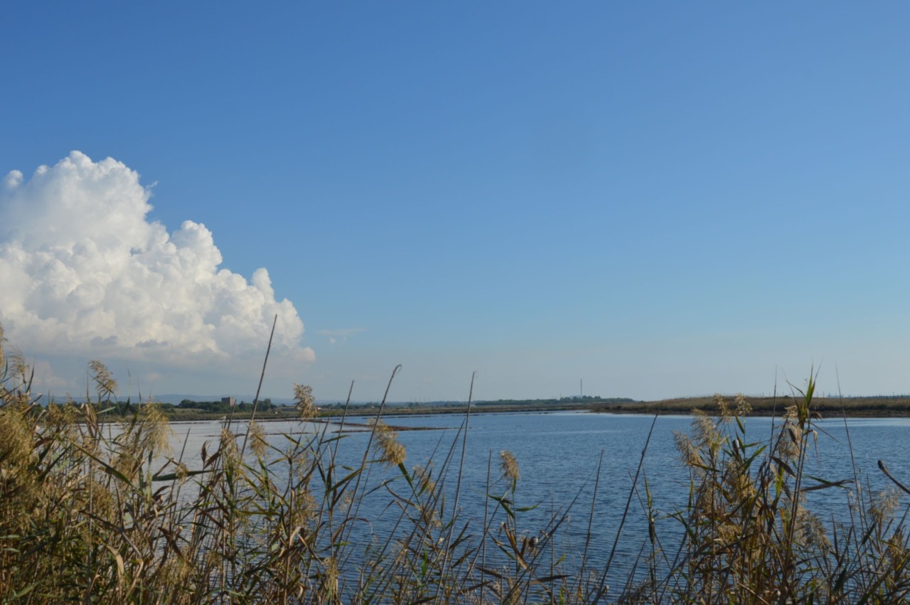 Saline,  presentato il masterplan per il recupero e la tutela