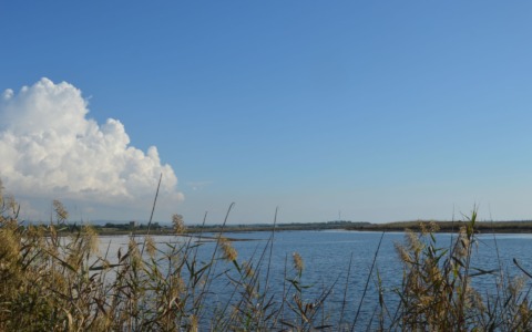 Saline,  presentato il masterplan per il recupero e la tutela