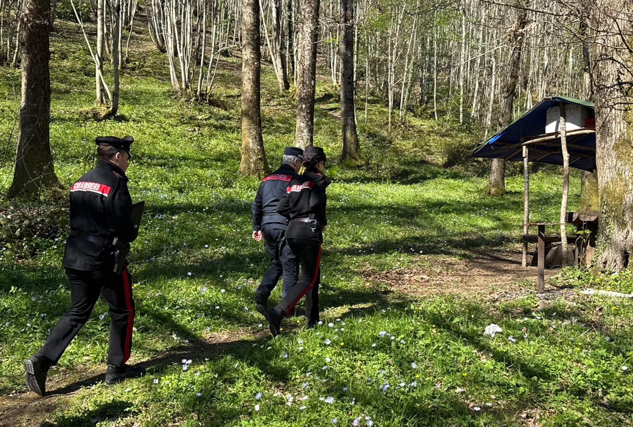 Pasqua e Pasquetta sicure, i carabinieri intensificano i controlli