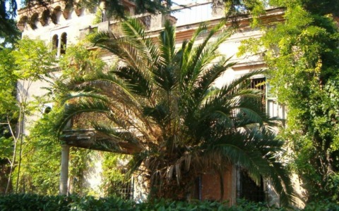 Al via il recupero di Villa Flora
