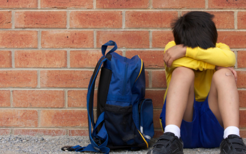 Incontro su bullismo e cyberbullismo