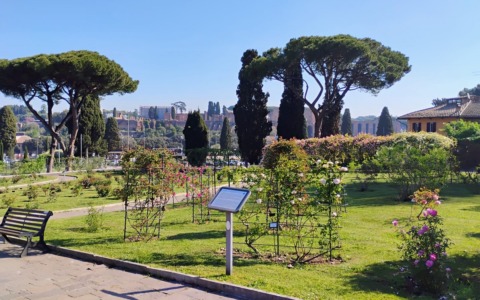 Riapre il roseto, 1.100 varietà in esposizione