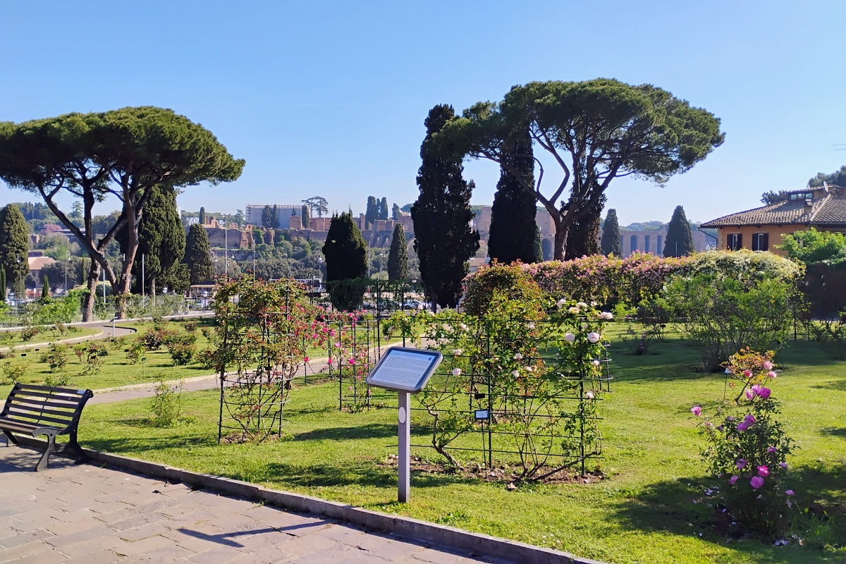 Riapre il roseto, 1.100 varietà in esposizione