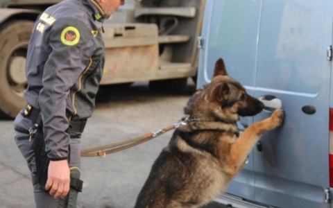 Scacco al “call center” della droga tra Tarquinia e Santa Marinella: 10 arresti