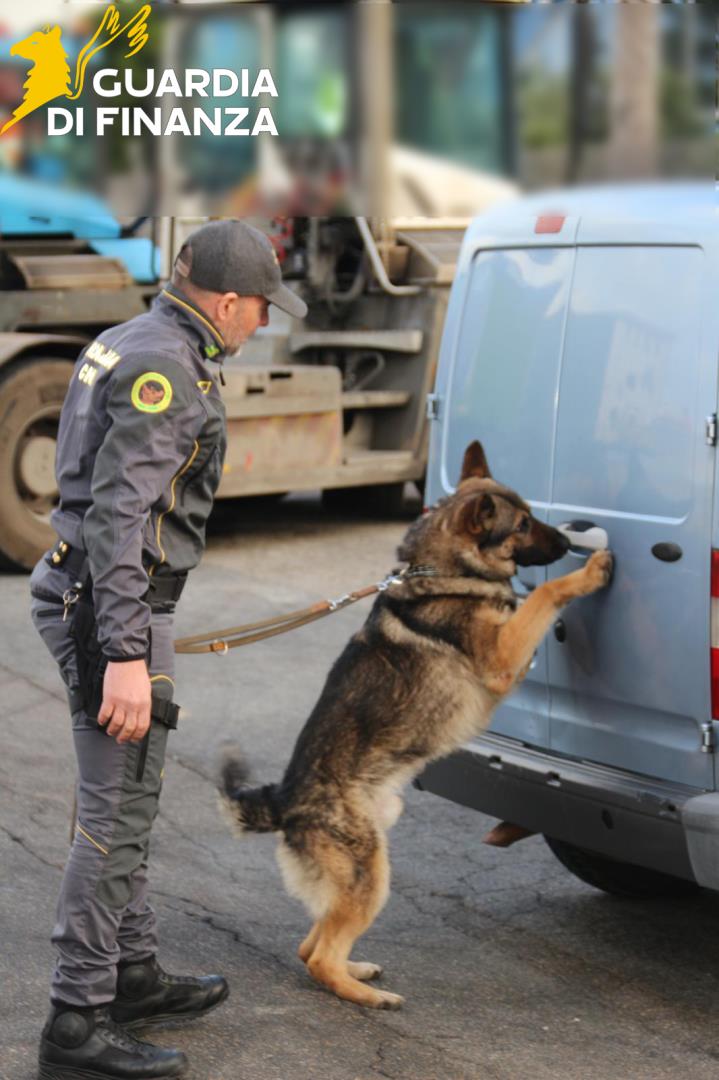 Scacco al “call center” della droga tra Tarquinia e Santa Marinella: 10 arresti