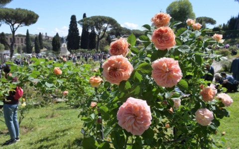 Al roseto comunale torna il “Premio Roma”