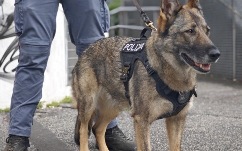 Poliziotti e cani antidroga tra Tor Bella Monaca e via Casilina, cinque arresti e una denuncia