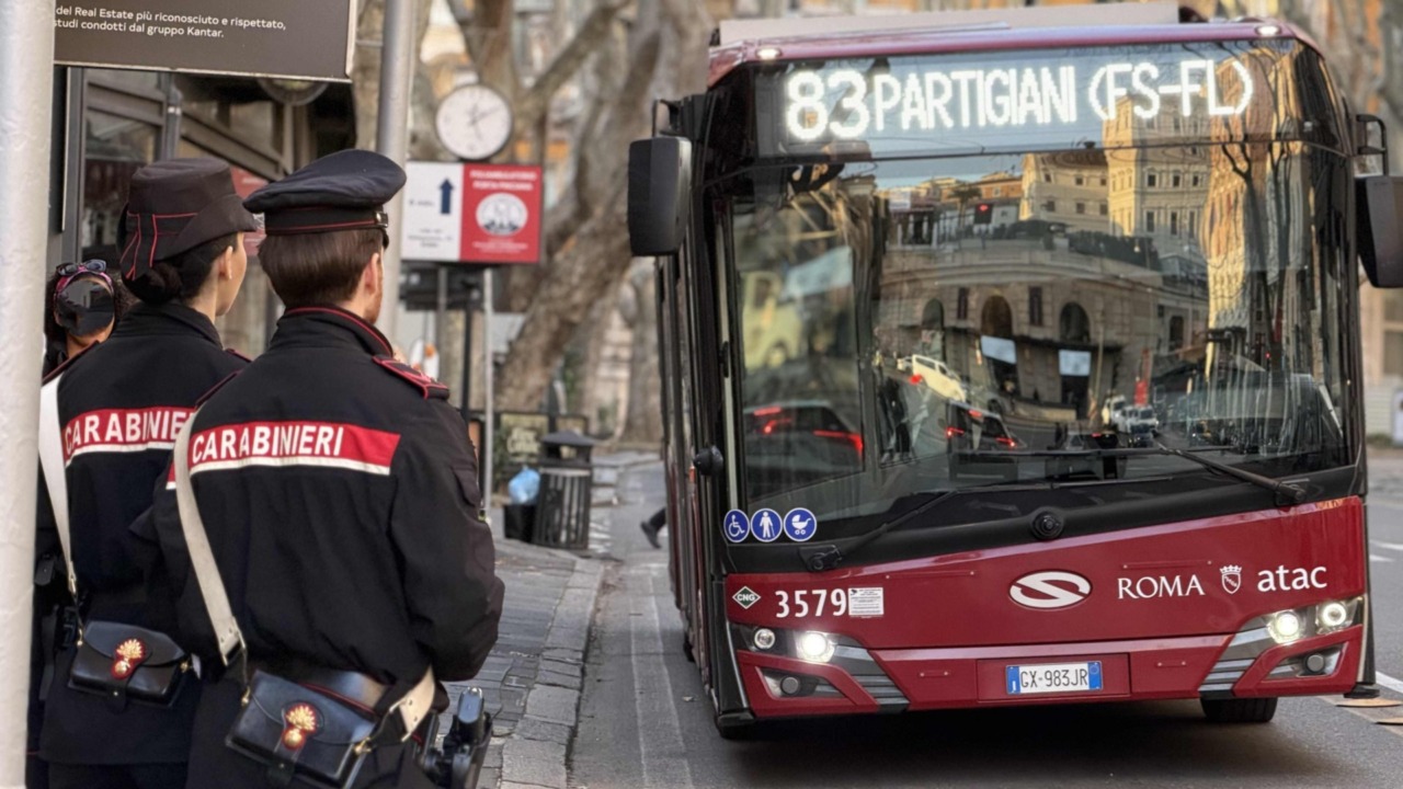 Controlli straordinari dei Carabinieri, 10 arresti