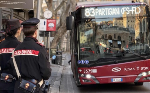 Controlli straordinari dei Carabinieri, 10 arresti