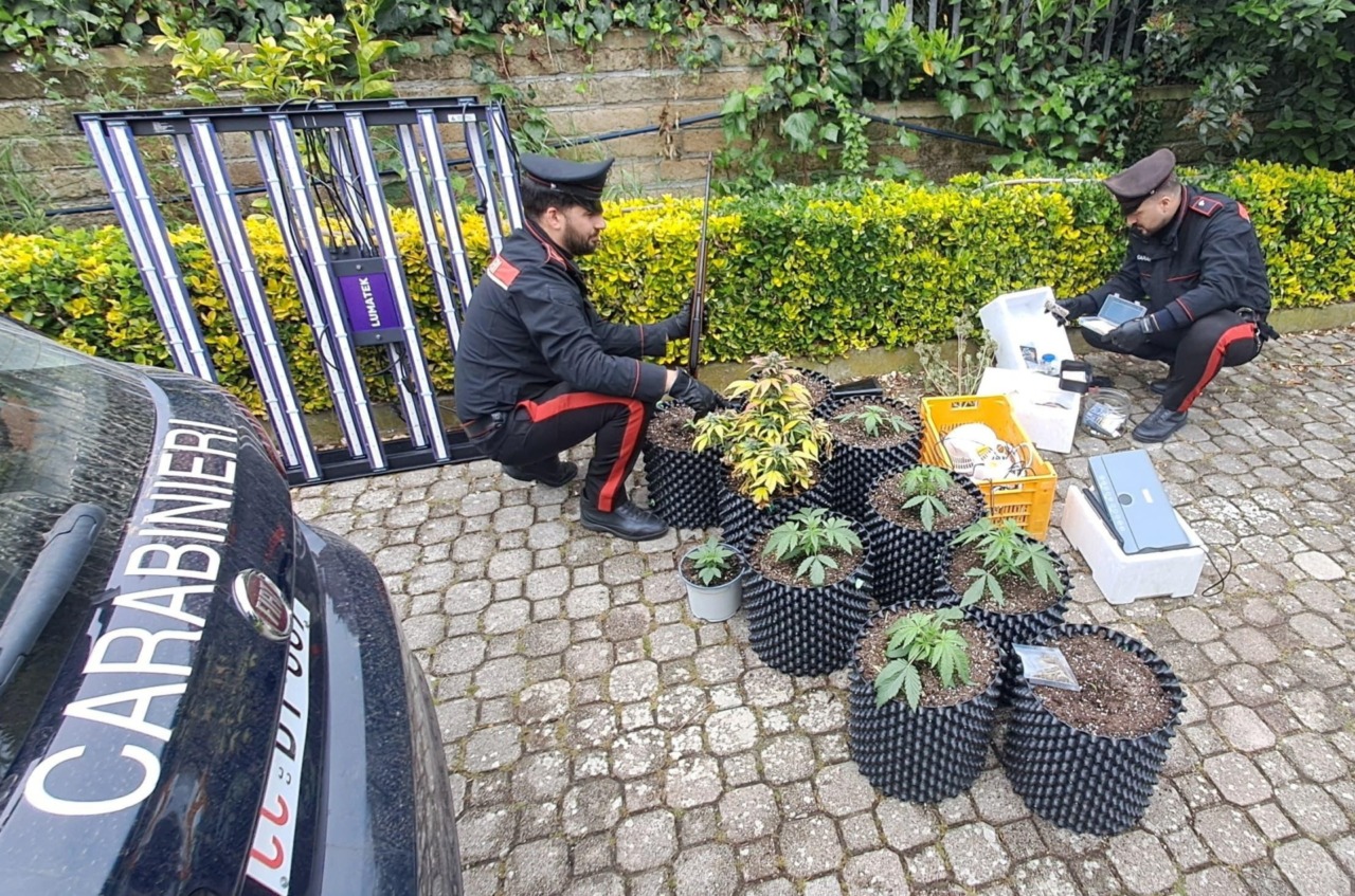 Scoperta serra di droga e munizioni, arrestato 33enne