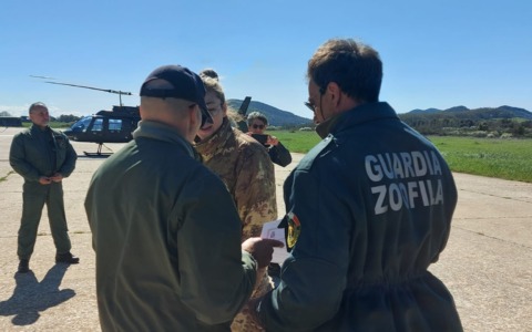 Nasce il Nucleo Operativo per la tutela degli animali contro gli illeciti