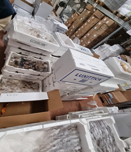 Sequestrate oltre 5 tonnellate di pesce non tracciabile e uova di pesce volante