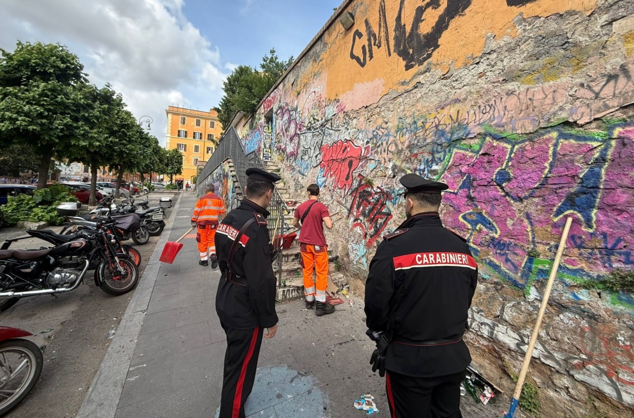 Maxi-blitz dei Carabinieri, 9 arresti e aree verdi ripulite