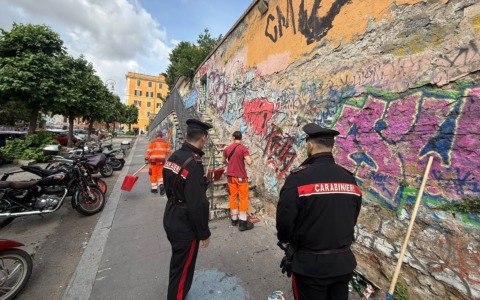 Maxi-blitz dei Carabinieri, 9 arresti e aree verdi ripulite
