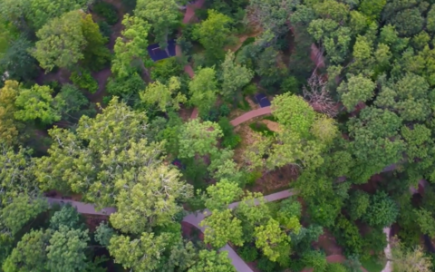 Ambiente e futuro sostenibile: le nuove sfide per proteggere il pianeta