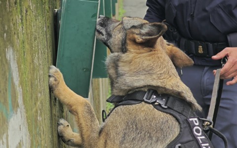Furti e rapine, 6 arresti della Polizia a Ostia